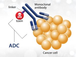 ADC drugs