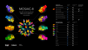 Mosaic-8