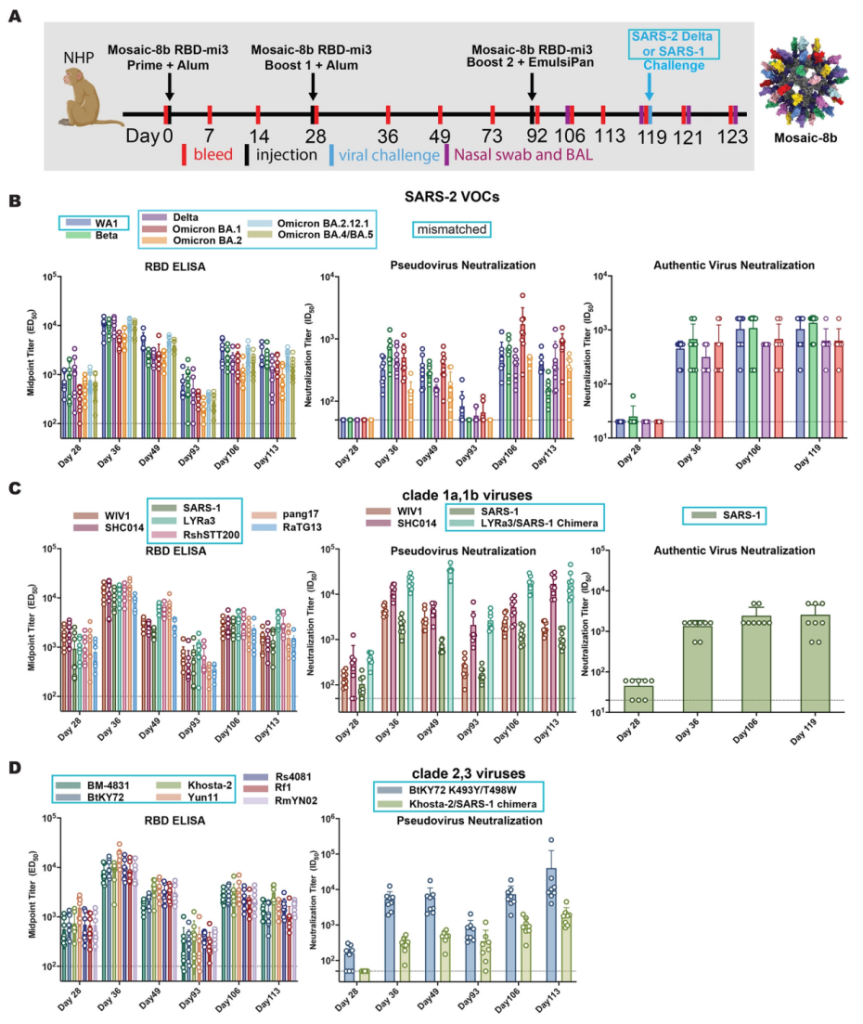 neutralizing antibody