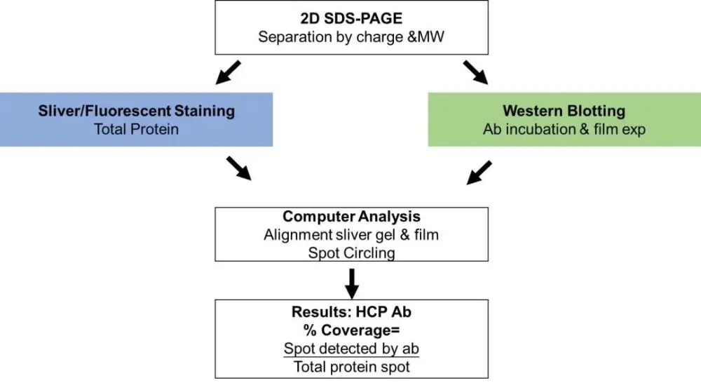 HCP-5