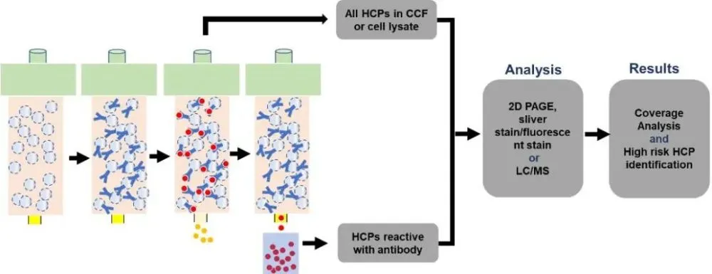 HCP-7