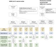 Intranasal vaccination