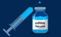 mRNA vaccine