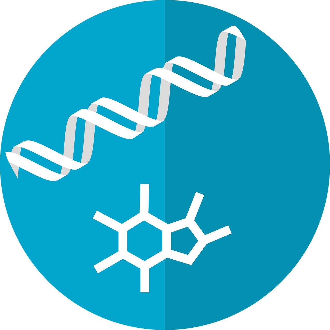 metabolomics analysis