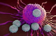 Tumor immunology