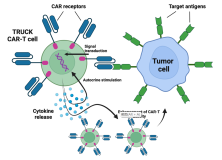 CAR-T cells