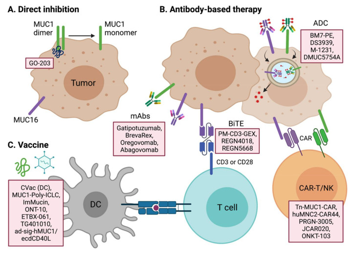 Mucin1-and-Mucin16-2