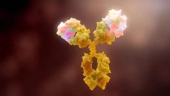 antibody-drug-conjugate