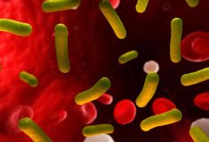 Polymer–drug conjugation